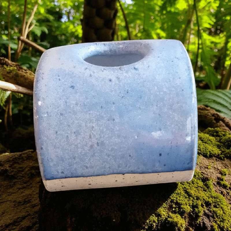 Blue Air Plant Holder - "Ocean Breeze"